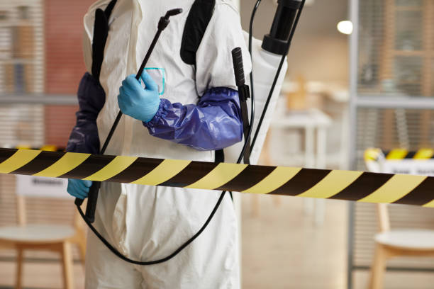 Professional Biohazard technician working in Hampton Bays, NY
